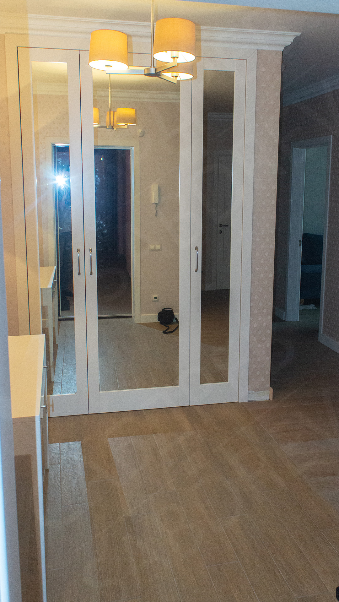 Прихожая №1 3 S DSC4102