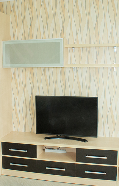 Гостиная №1 1 thubn DSC3732