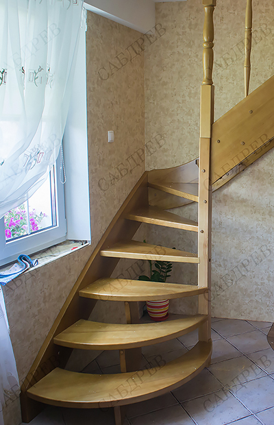 SONY DSC thumb DSC0918