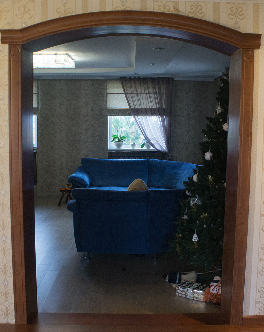 SONY DSC и арки в интерьере 1